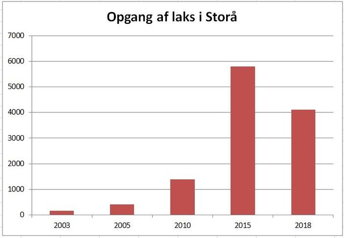 Estimeret opgang af laks i Storå med baggrund i fiskeundersøgelser foretaget af Ringkjøbing Amt (2003-2005) og DTU AQUA (2010-2018)